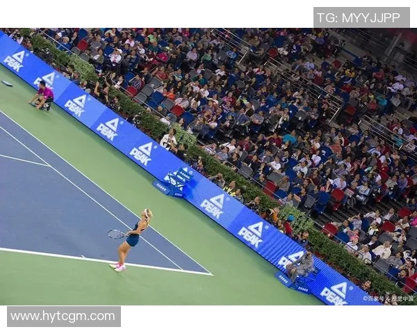 武汉网球队创历史新高网球状态排名再创新高峰