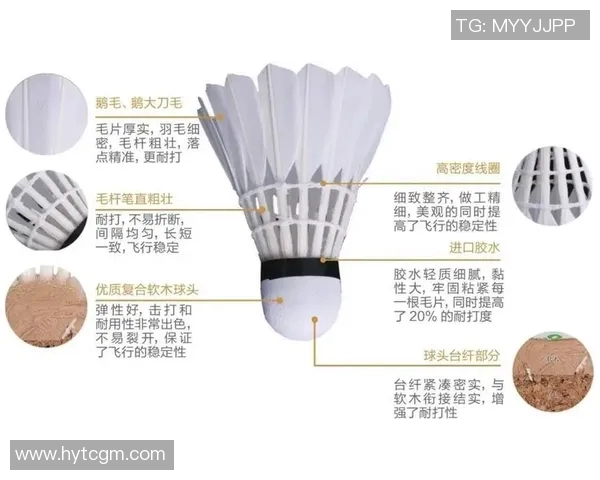 聚焦羽毛球：探讨杭州羽毛球队在速度与技巧上的突破与发展