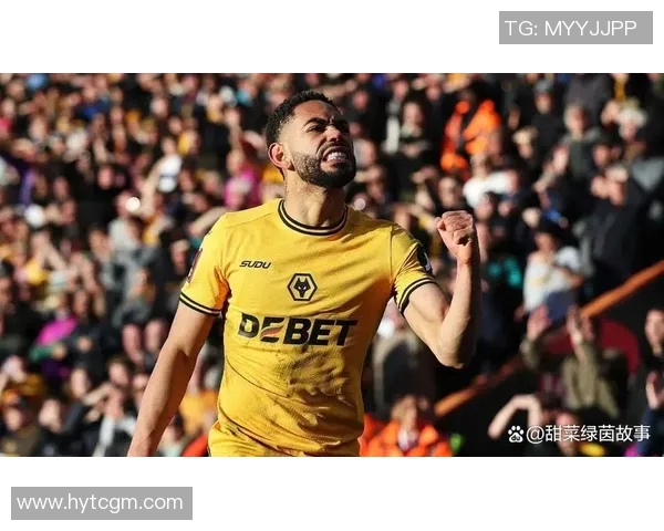 狼队与埃弗顿精彩对决视频回顾及赛后分析