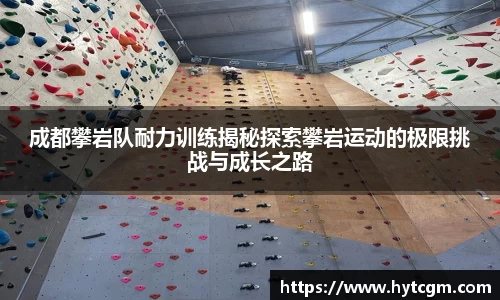 成都攀岩队耐力训练揭秘探索攀岩运动的极限挑战与成长之路
