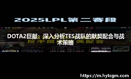 DOTA2巨献：深入分析TES战队的默契配合与战术策略